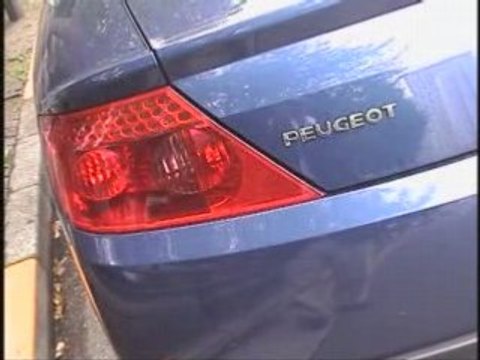 Peugeot 407 Coupe in TOKYO