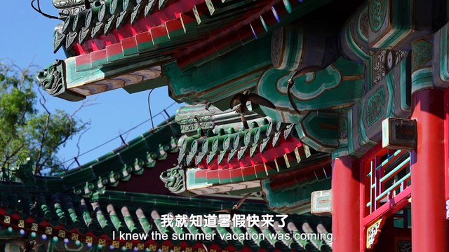 Exhibition of 2024 ISVC Outstanding Works《Letters From Beijing Swift》Episode 3