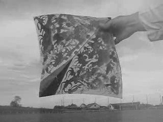 CERF VOLANT DE COMBAT