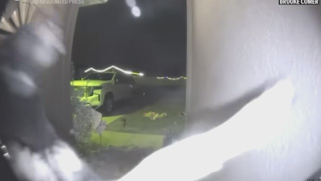 El perro desaparece más de una semana y una cámara oculta muestra su regreso como un milagro de la Navidad