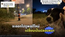 จะออกไปดูพลุปีใหม่คืนข้ามปี เปลี่ยนเป็นปลอบหมาจรตกใจเสียงพลุ !