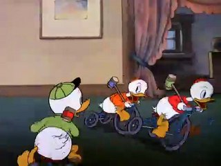 Corti Disney - I Nipoti di Paperino