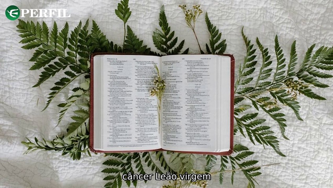 "Rituais para 2025: Salmos astrológicos, alongamentos pós-ceia e o segredo da influenciadora sem calcinha."