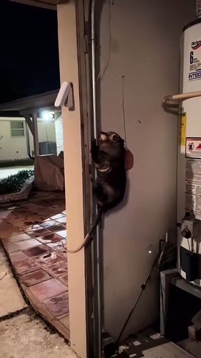 He couldn’t believe it