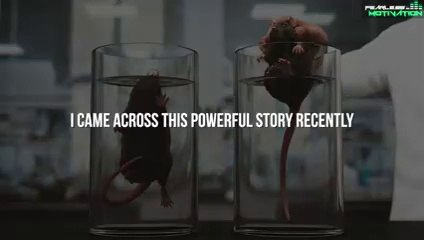 Shocking Rat Experiment Teaches Powerful Life Lesson