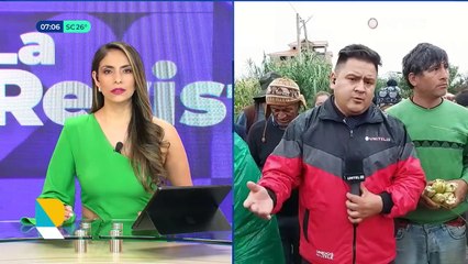 En Sipe Sipe, productores han perdido varias hectareas de maíz por la plaga