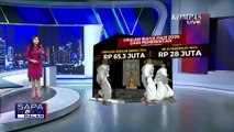 Pemerintah Usulkan Penurunan Biaya Haji 2025, Jamaah Tanggung Rp65 Juta