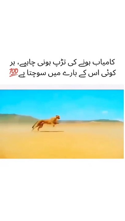 Nayce speed I am impressed