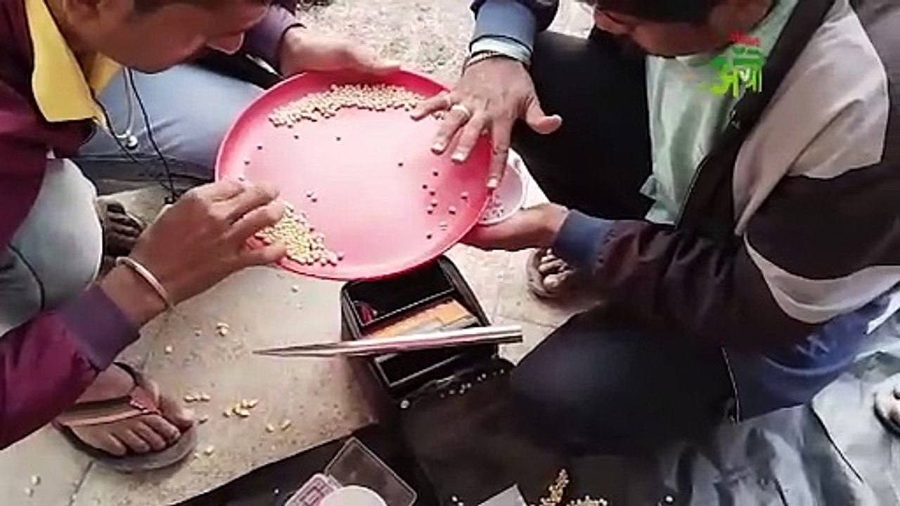 खरेदी केलेले सोयाबीन ग्रेडरकडून रिजेक्ट काय आहे नेमकं प्रकरण