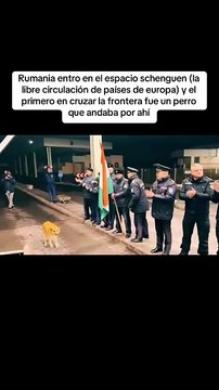 VIDEO: ¡Lo recibieron con aplausos! Un can fue el primero en cruzar la frontera con Rumania