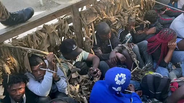 Detienen a 24 nacionales haitianos ilegales que eran trasladados en un camión