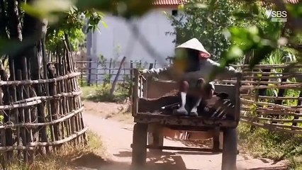 Lost Treasures of Angkor Ancient Laos Reveale Episode 1 The Discovery