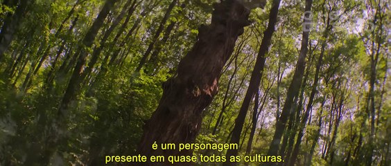 O Homem do Saco Trailer Legendado