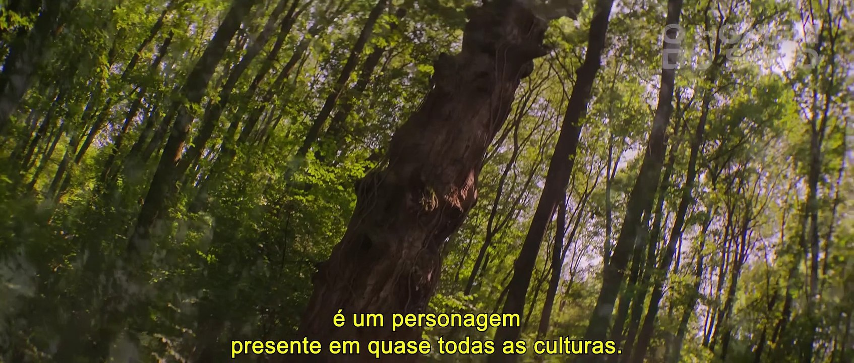 O Homem do Saco Trailer Legendado