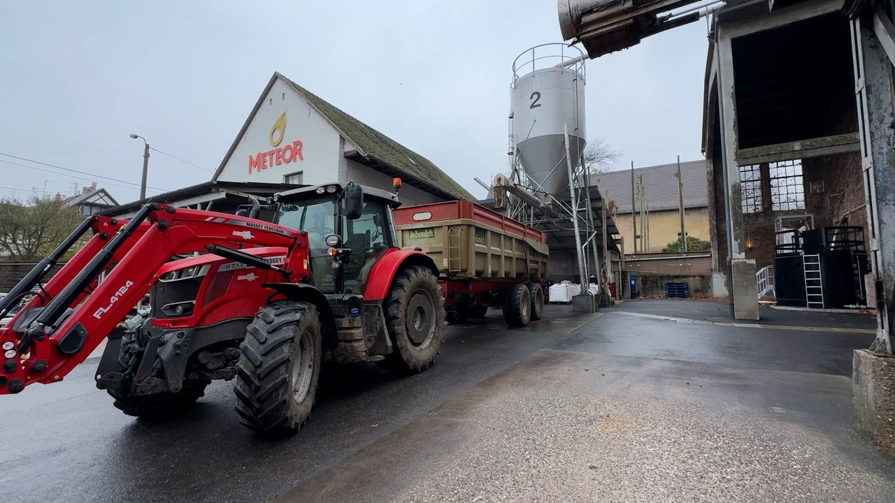 Une brasserie alsacienne valorise ses drêches en élevage