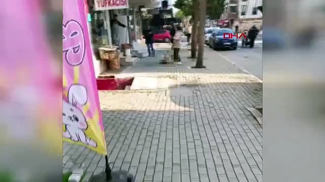 Avcılar'da sokak kedisini öldüren pitbull cinsi köpeğin sahibi tutuklandı