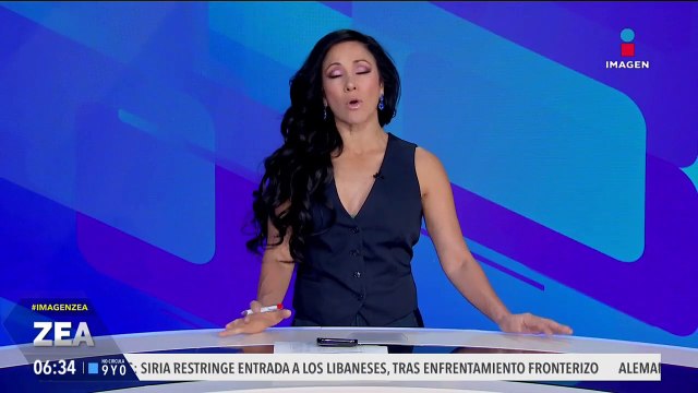 Perrito muere por una crisis de estrés provocada por el ruido de la pirotecnia