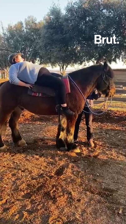 Reconstruire les femmes victimes de violences par la médiation animale