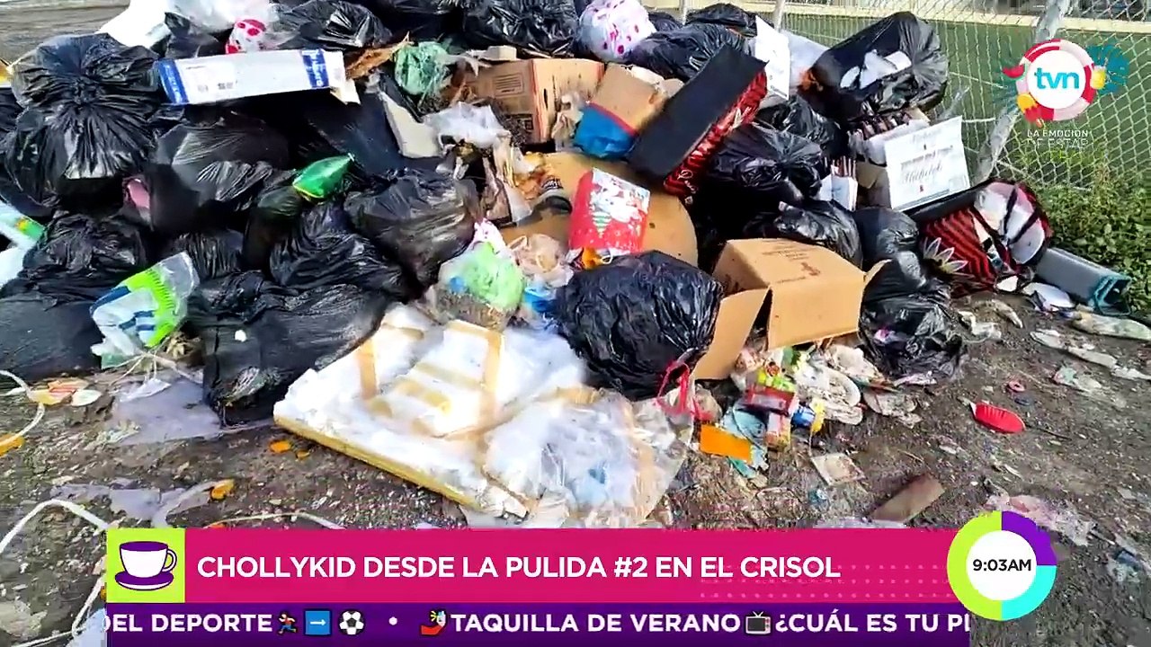 Chollykid desde El Crisol