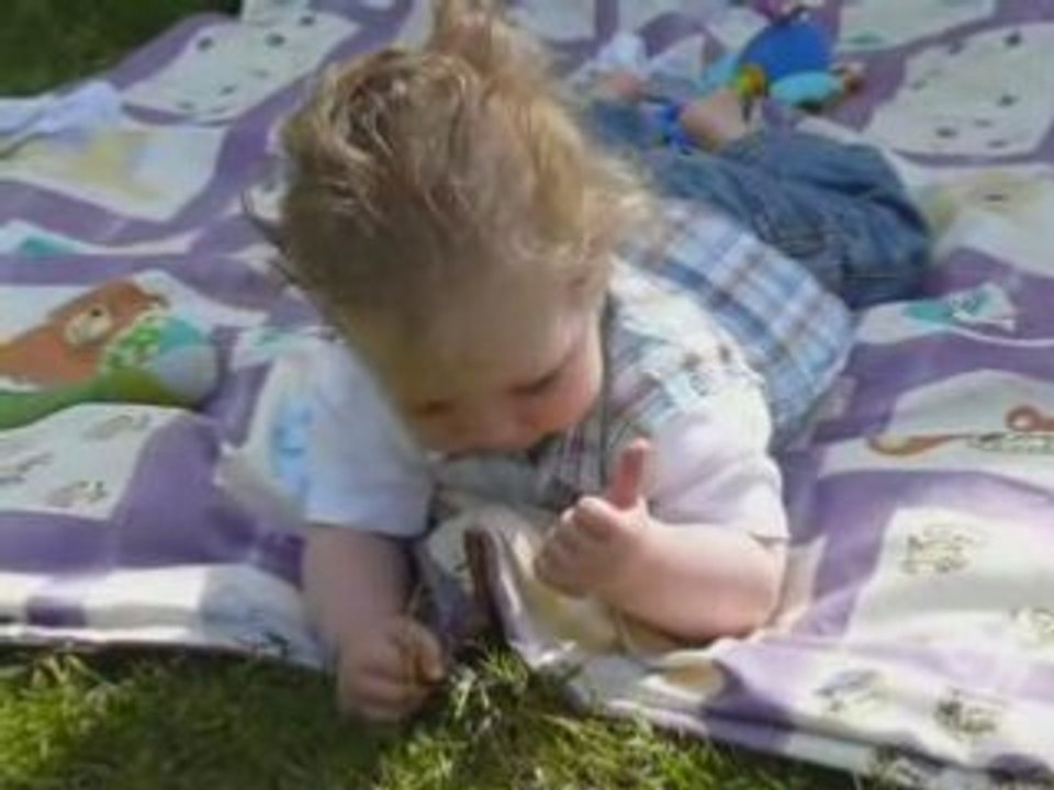 Ruben die op gras knaagt