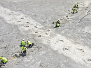 Forscher entdecken "Dinosaurier Highway" in England