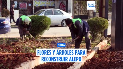 Voluntarios sirios de Alepo plantan árboles para reconstruir la ciudad