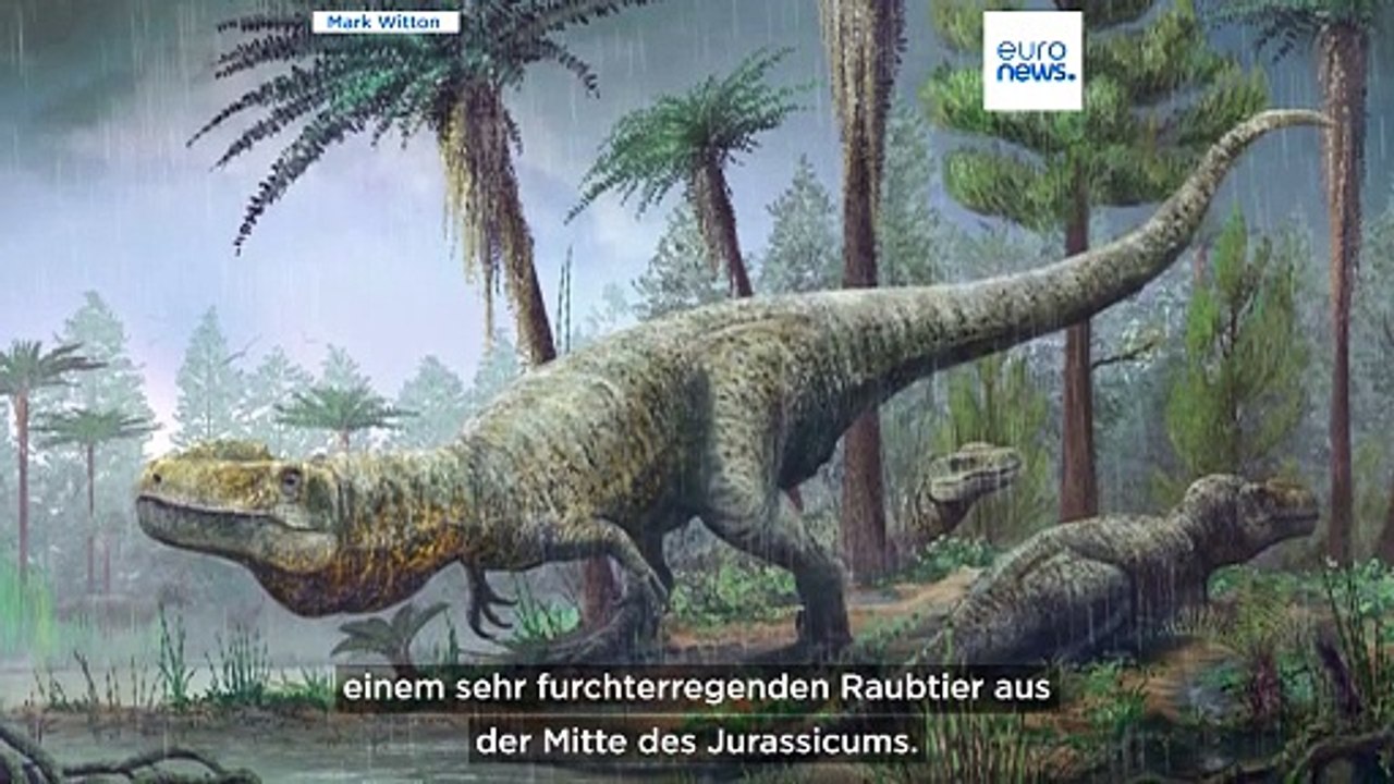 Oxfordshire: 166 Millionen Jahre alte Dinosaurierspuren in Steinbruch entdeckt