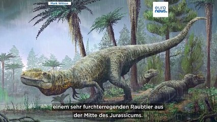 Oxfordshire: 166 Millionen Jahre alte Dinosaurierspuren in Steinbruch entdeckt