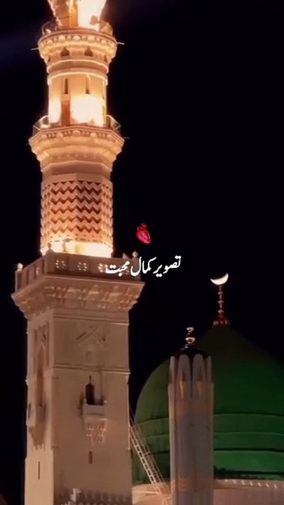 Ya Habibi