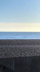 Possible whale sighting near Hastings in East Sussex