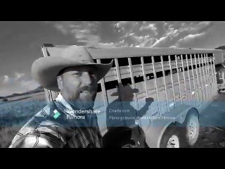 2573-10-31 Gollers' Cowboy (Gollers)