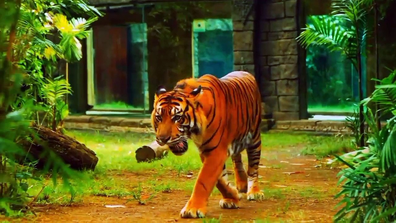 BEAUTIFUL AND AMAZING NATURE IN WORLD