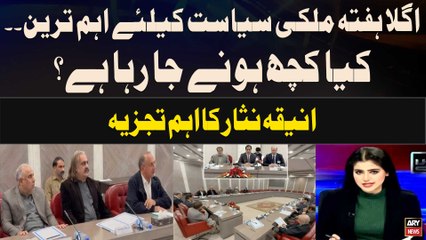 Aniqa Nisar's important report on Pakistan's current politics