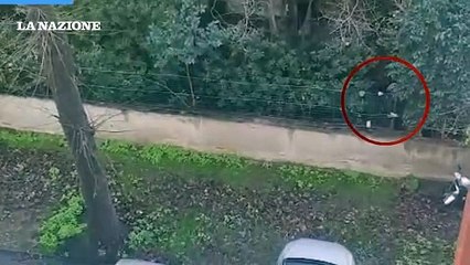 Hotel Airone occupato, gli abusivi scavalcano una recinzione