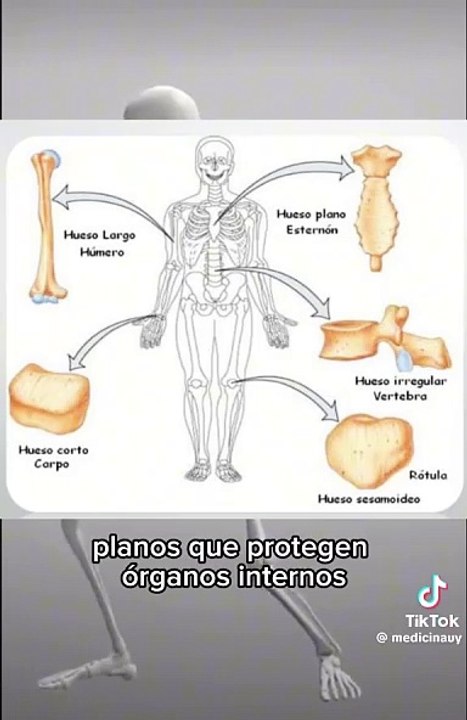 Hueso.