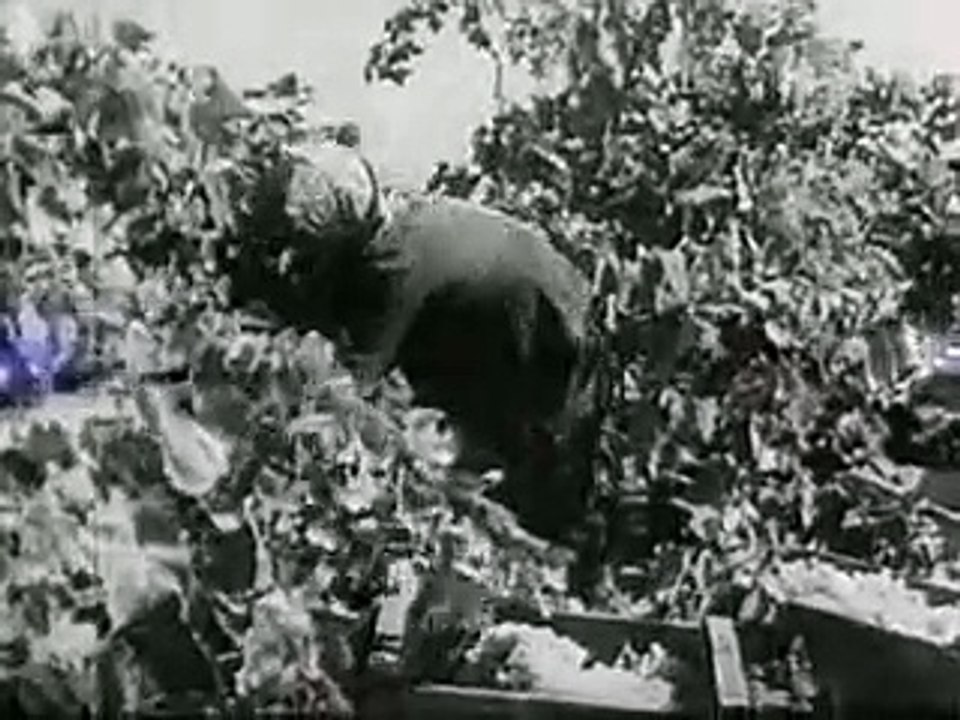 Alcohol and the Human Body (1949) - Classic American Propaganda Film | Educational PSA