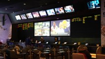 Record Sports Betting Totals in 2024 Reached $150 Billion