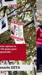 Gobierno sólo gasta 2 mil pesos por desaparecido.