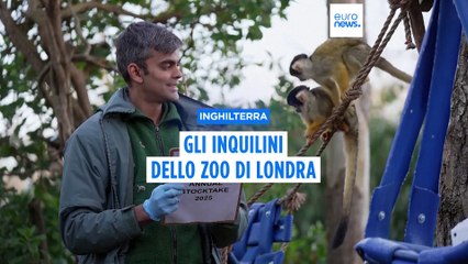 Dai gorilla alle api: ogni anno lo zoo di Londra conta i suoi abitanti
