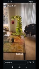 io credo in te albero di merda