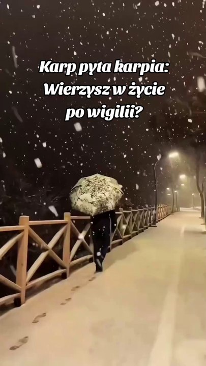 Reinkarnacja