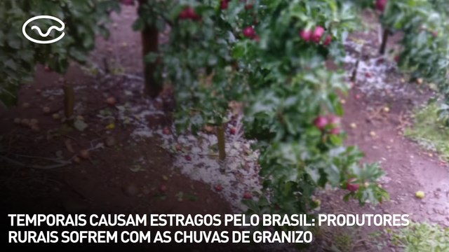 Temporais causam estragos pelo Brasil: produtores rurais sofrem com as chuvas de granizo
