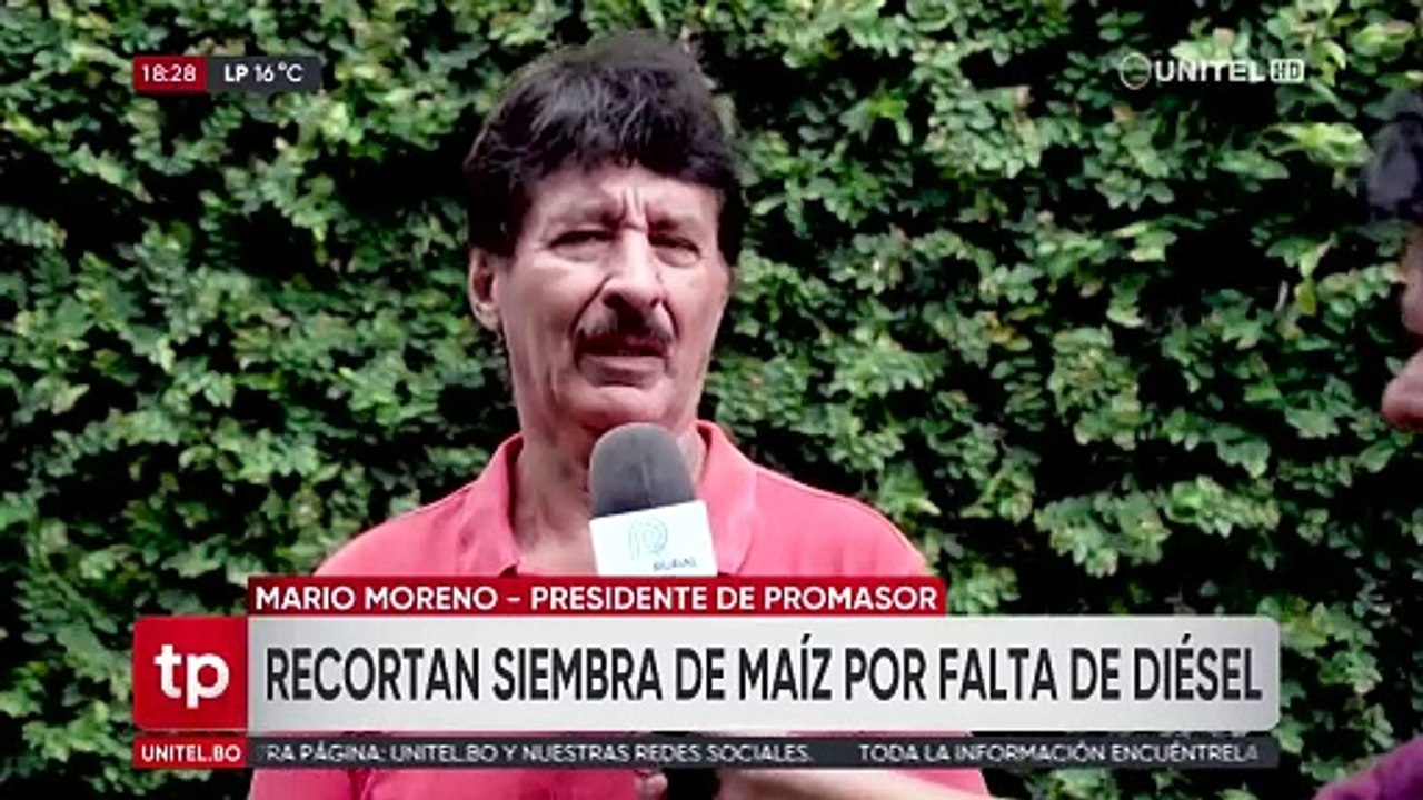 Cae la previsión de siembra de maíz, labor golpeada por la falta de diésel, según Promasor