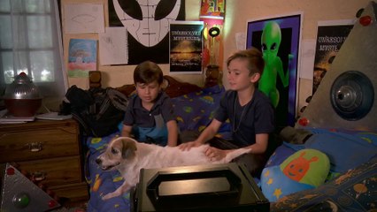 Пушистый переполох | movie | 2018 | Official Trailer