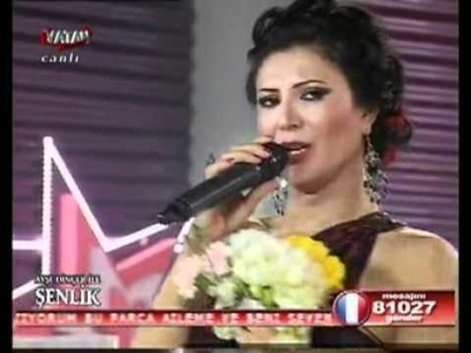 Ayşe Dinçer  -  Kütahyanın Pınarları