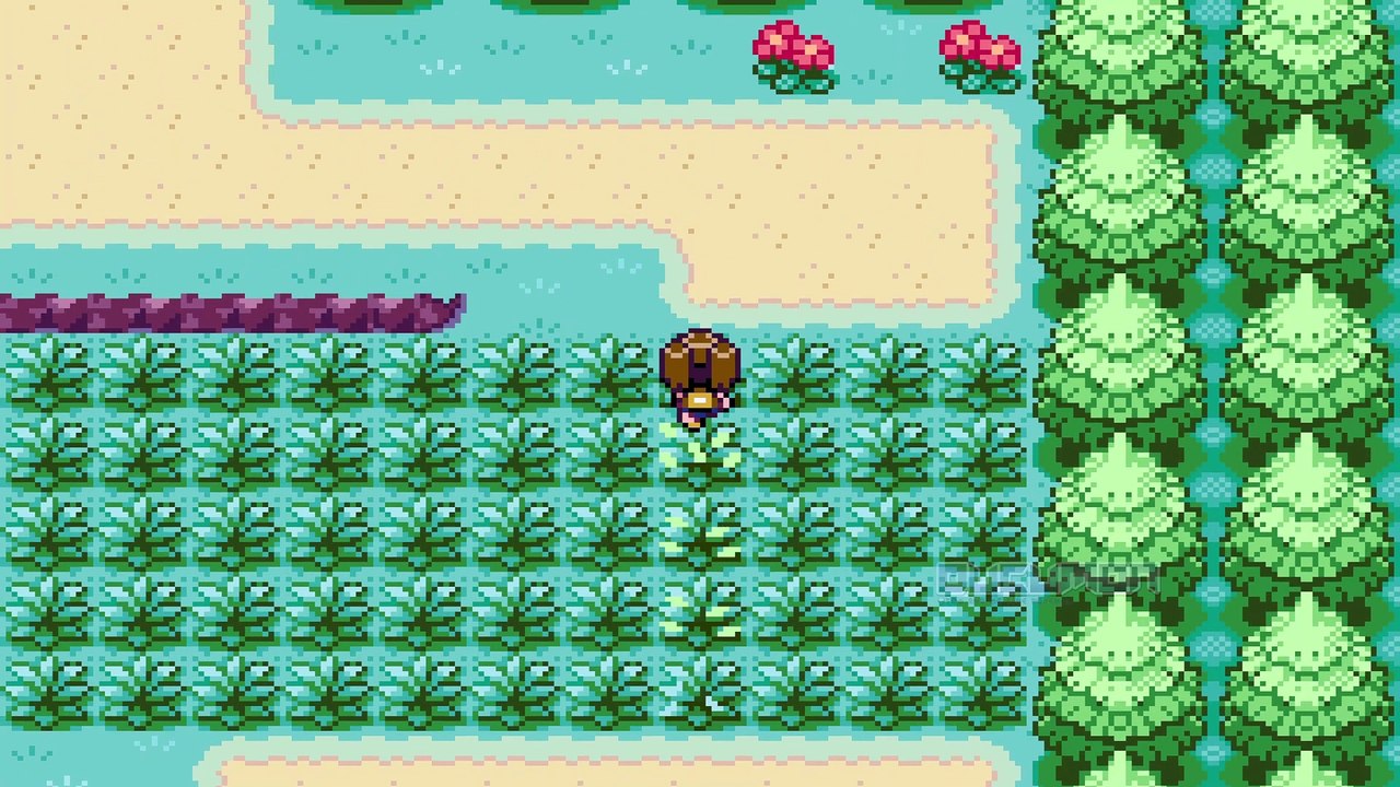 Pokemon Cope - GBA ROM Hack has a Brand New Dex, Fakemon, New Music, Events, Tweaked map + Pokedex