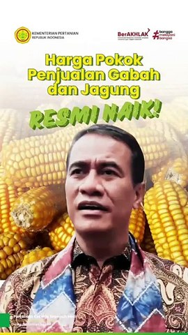 Presiden naikkan Harga gabah dan jagung di 2025