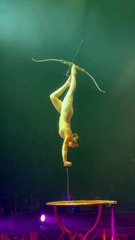 ,,,,,,,,,,Hunter girl in the sircus,,,,,,,