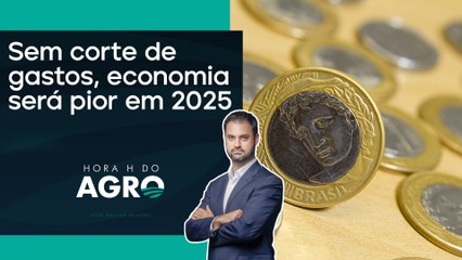 Economia no governo Lula seguirá aos 'trancos e barrancos' | HORA H DO AGRO