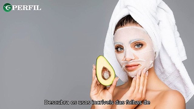 Descubra os usos do folha de abacate, feriados de 2025 e oportunidades de emprego na Embrapa!